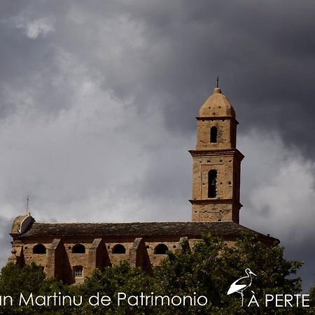 Studio Terremer Apartment Patrimonio Exterior photo